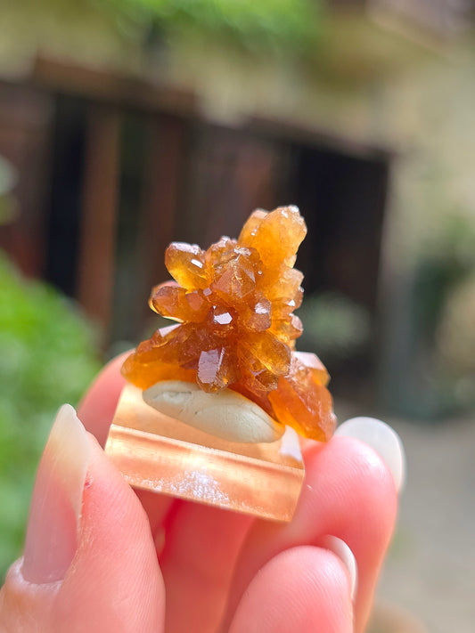 Quartz "citrine" ou "fleur de citrine" du Maroc