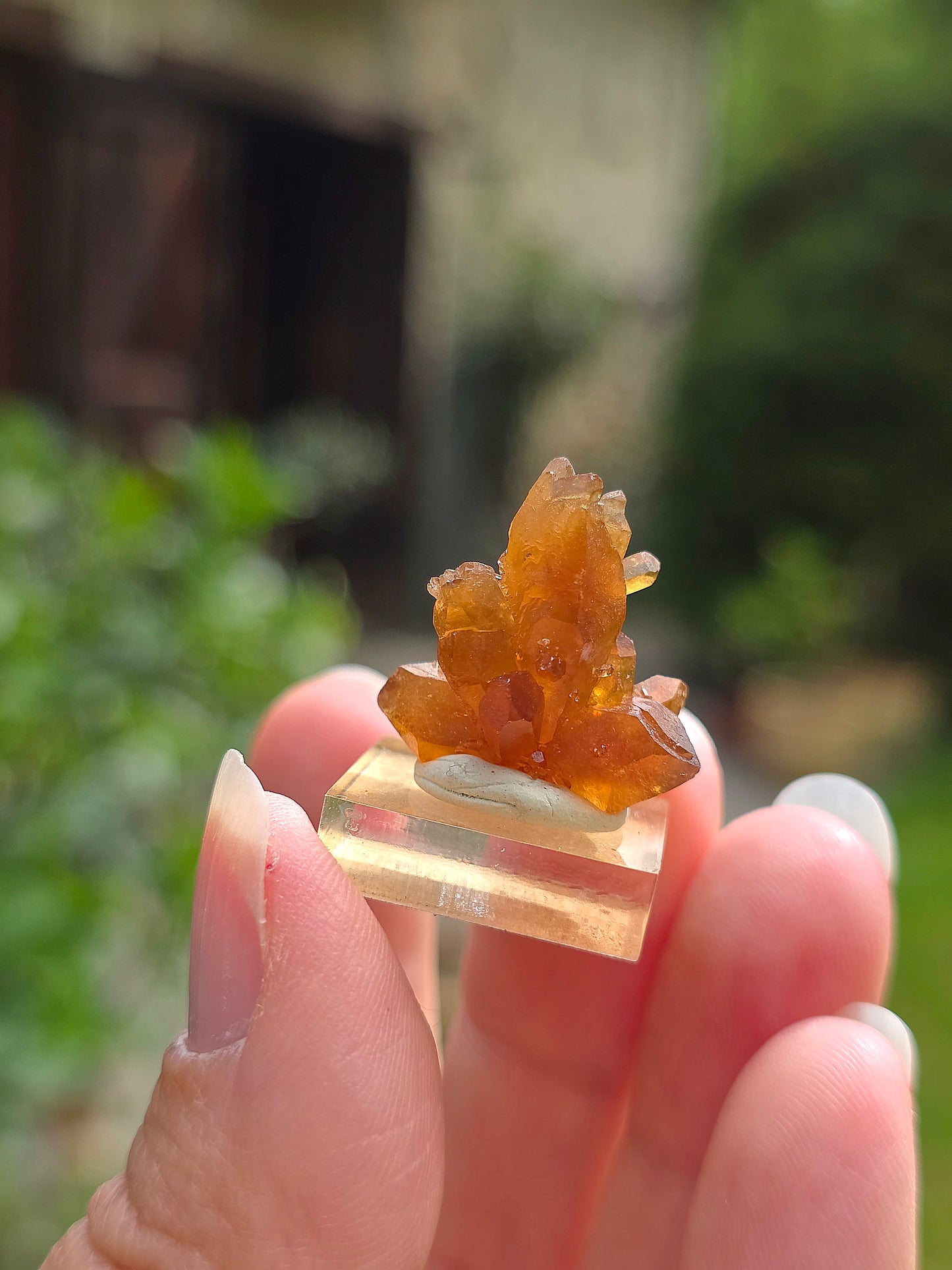 Quartz "citrine" ou "fleur de citrine" du Maroc