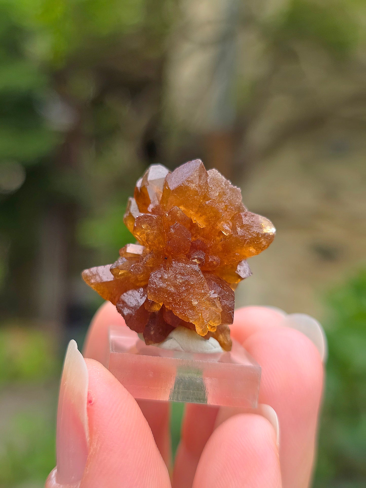 Quartz "citrine" ou "fleur de citrine" du Maroc