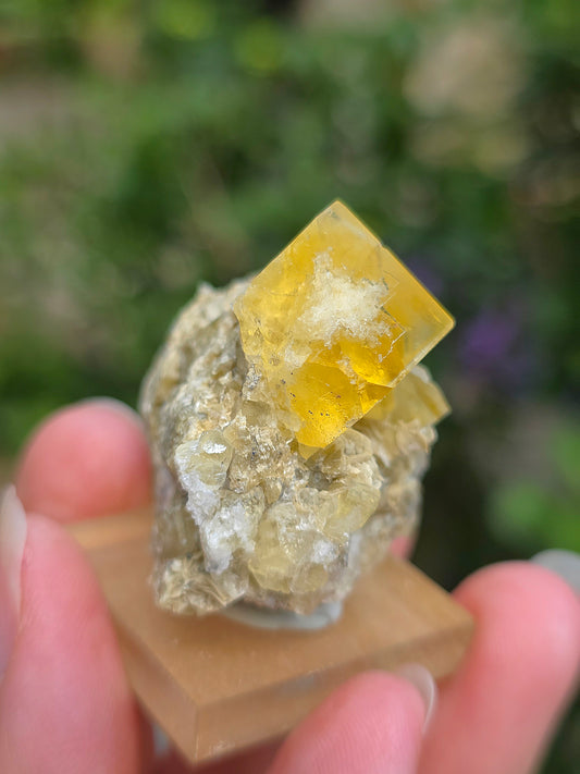 Fluorite jaune brute du Tarn