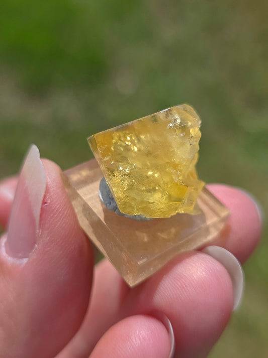 Fluorite jaune brute du Tarn