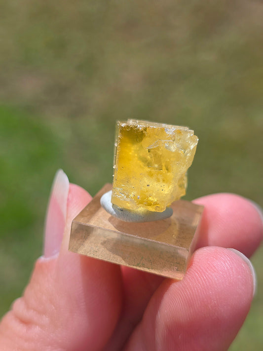 Fluorite jaune du Tarn
