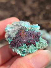paire de Calcédoine, Chrysocolle et Cuprite d'Indonésie