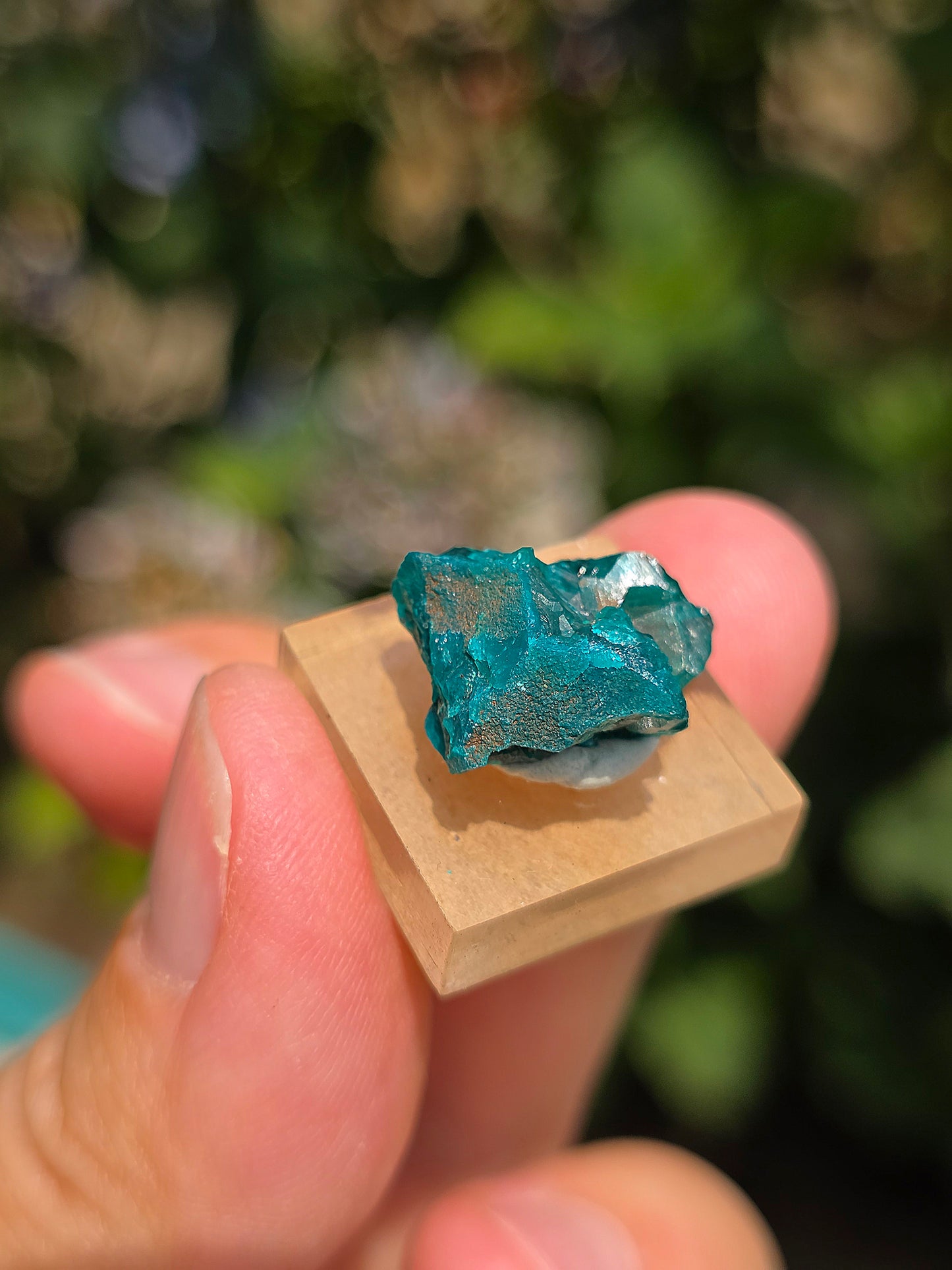 Joli Dioptase brut du Congo