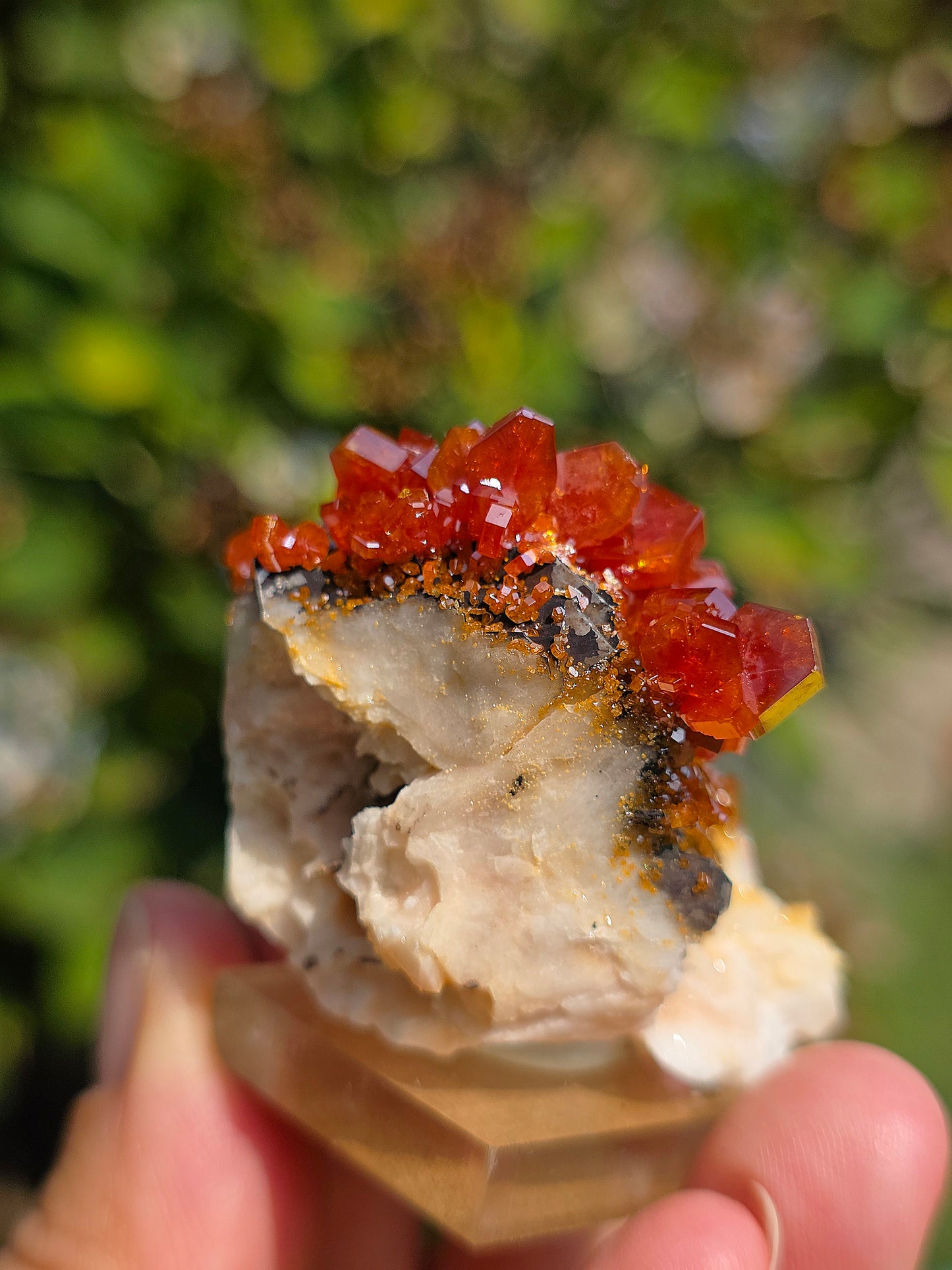 Vanadinite et Goethite sur Baryte