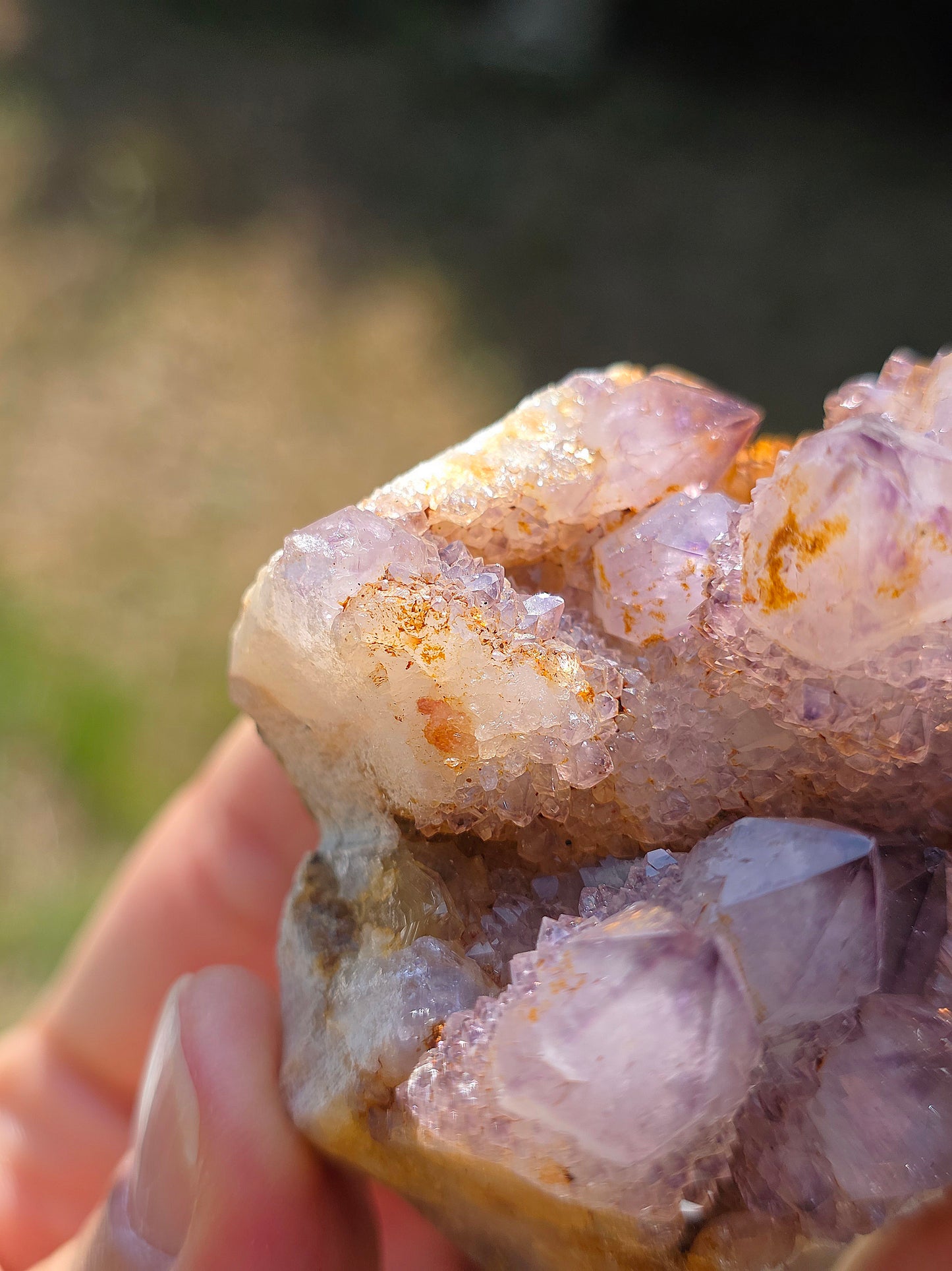 Quartz Cactus d'Afrique du Sud