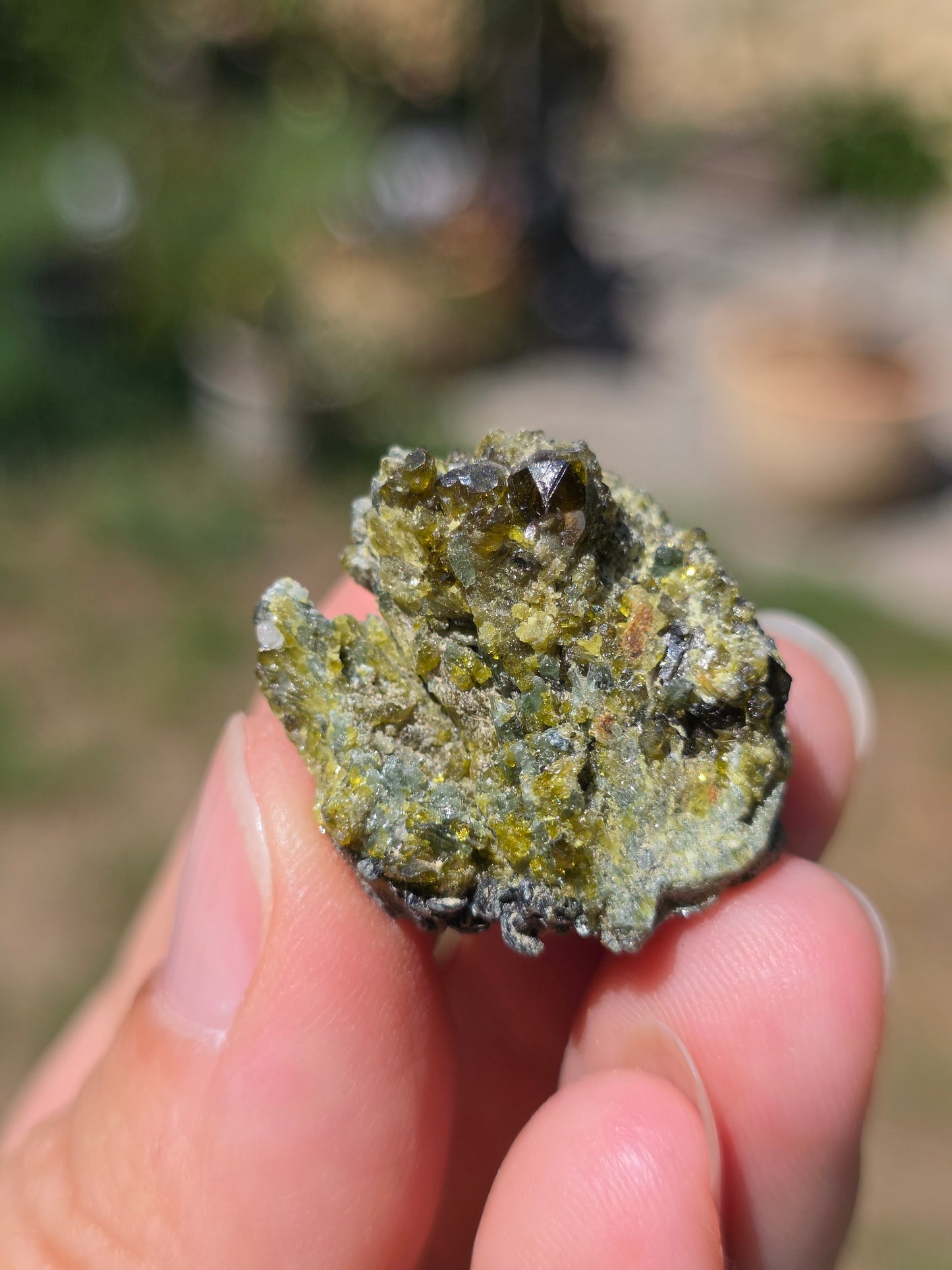 mélange de Grenat, Diopside et Epidote