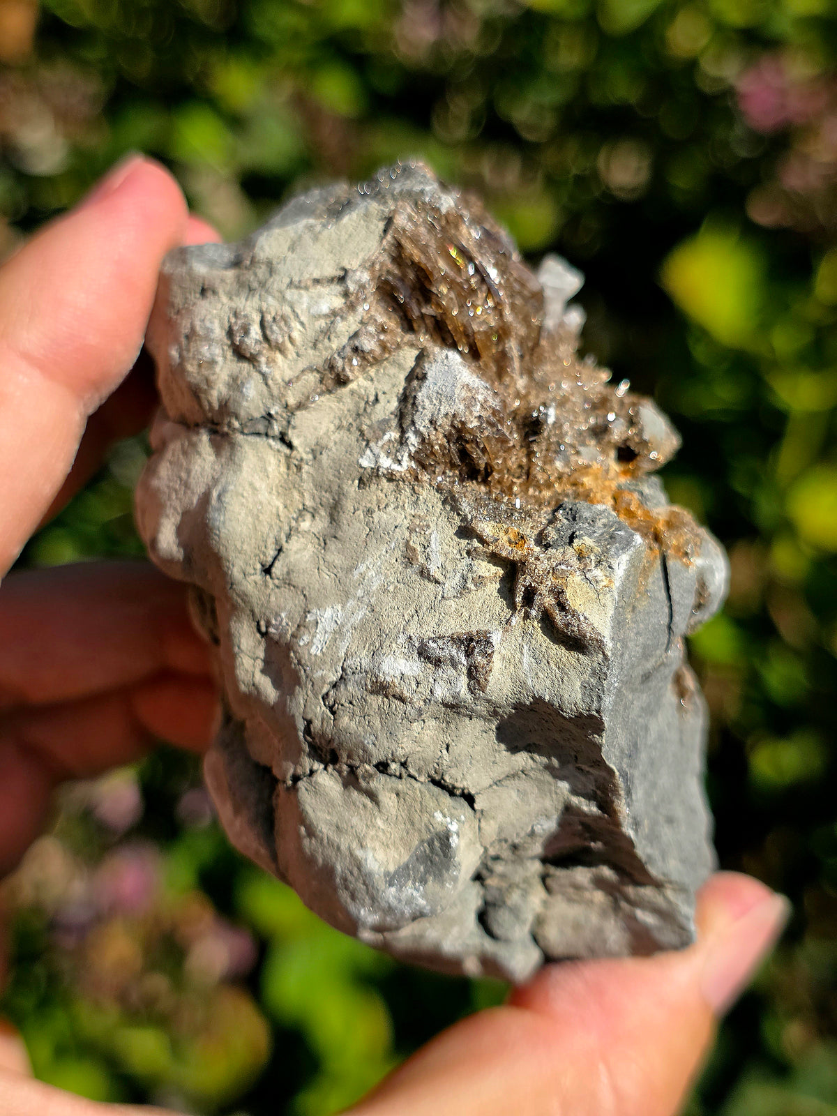 Baryte dans de la Septaria brute de la Drôme