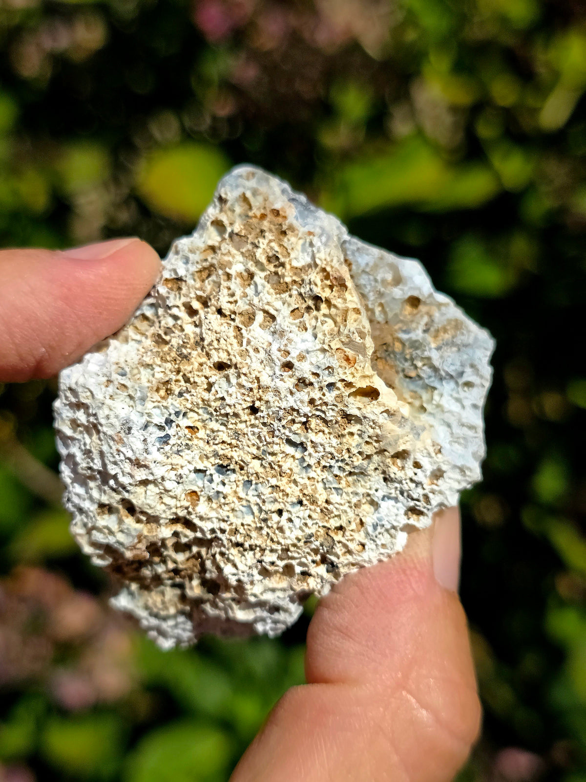 Calcédoine du Poitou bleue