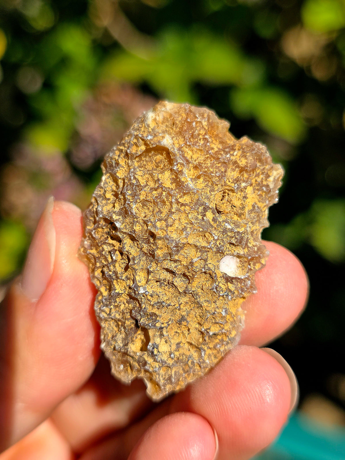 Calcédoine bleutée du Poitou