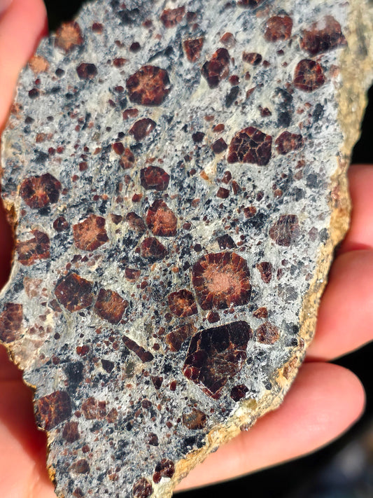 Tranche d'Eclogite à Grenats du Val d'Aoste