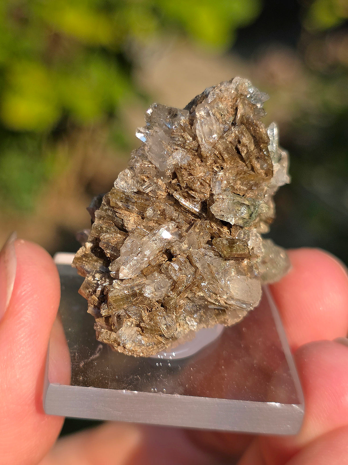Quartz avec Chlorite et épidote des Pyrénées