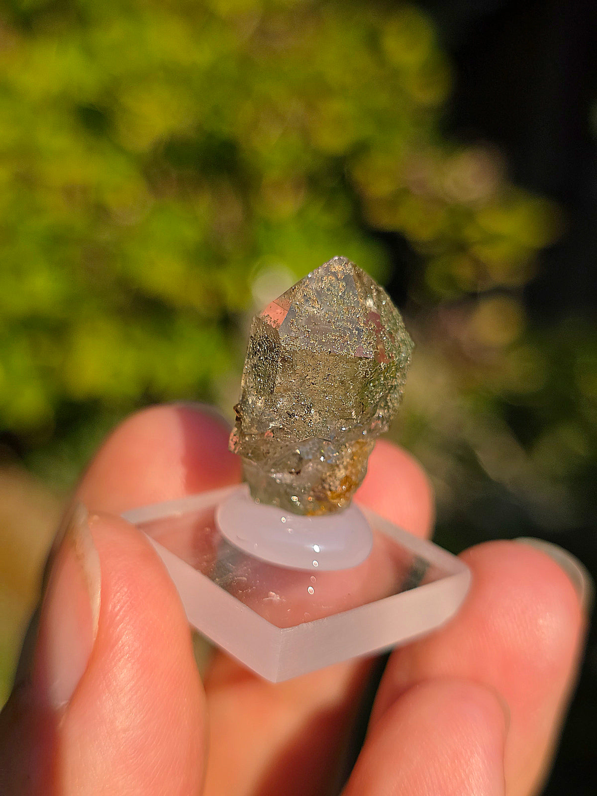 Quartz avec Chlorite et épidote des Pyrénées, France