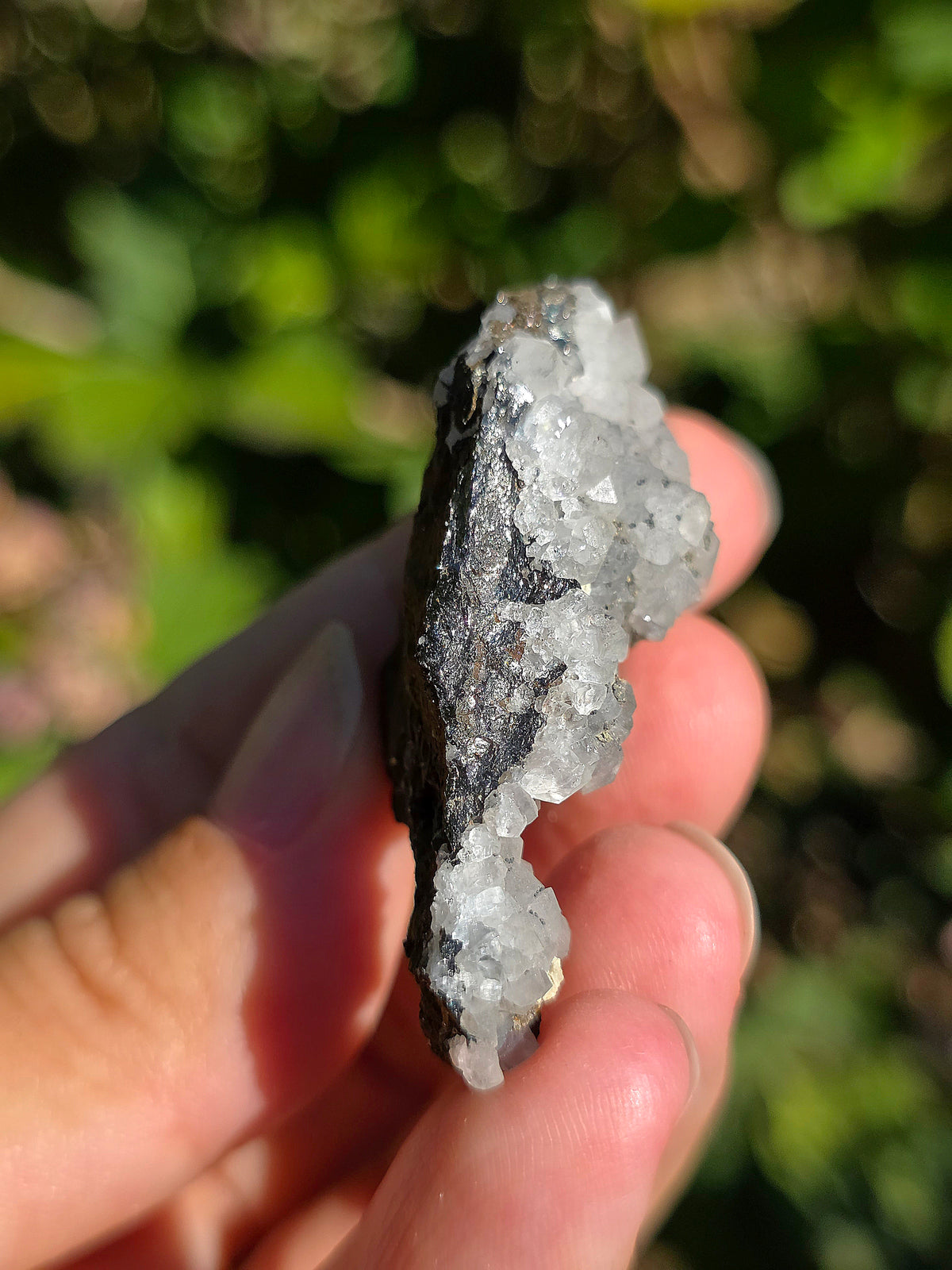 Tétraédrite ariégeoise brute avec Quartz et Chalcopyrite