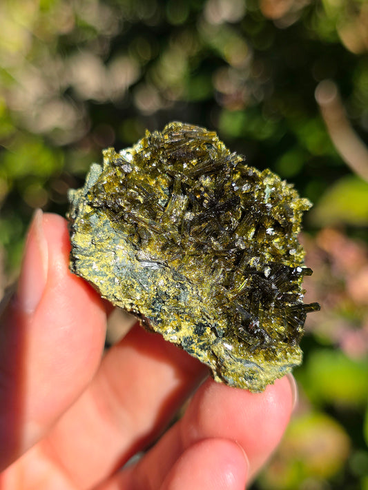 Epidote brute de Lérida en Espagne