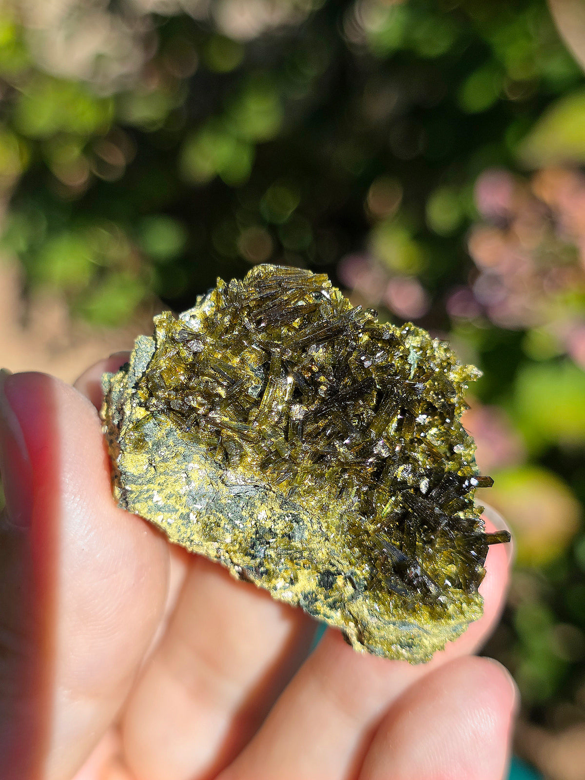 Epidote brute de Lérida en Espagne