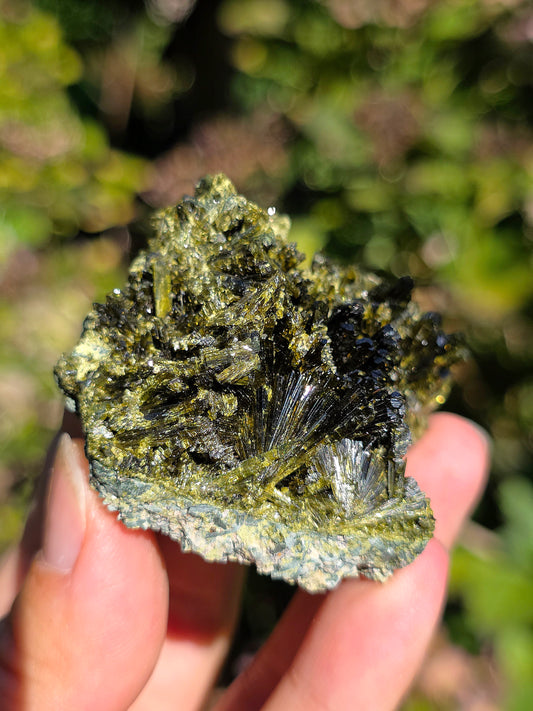 Epidote brute de Lérida en Espagne