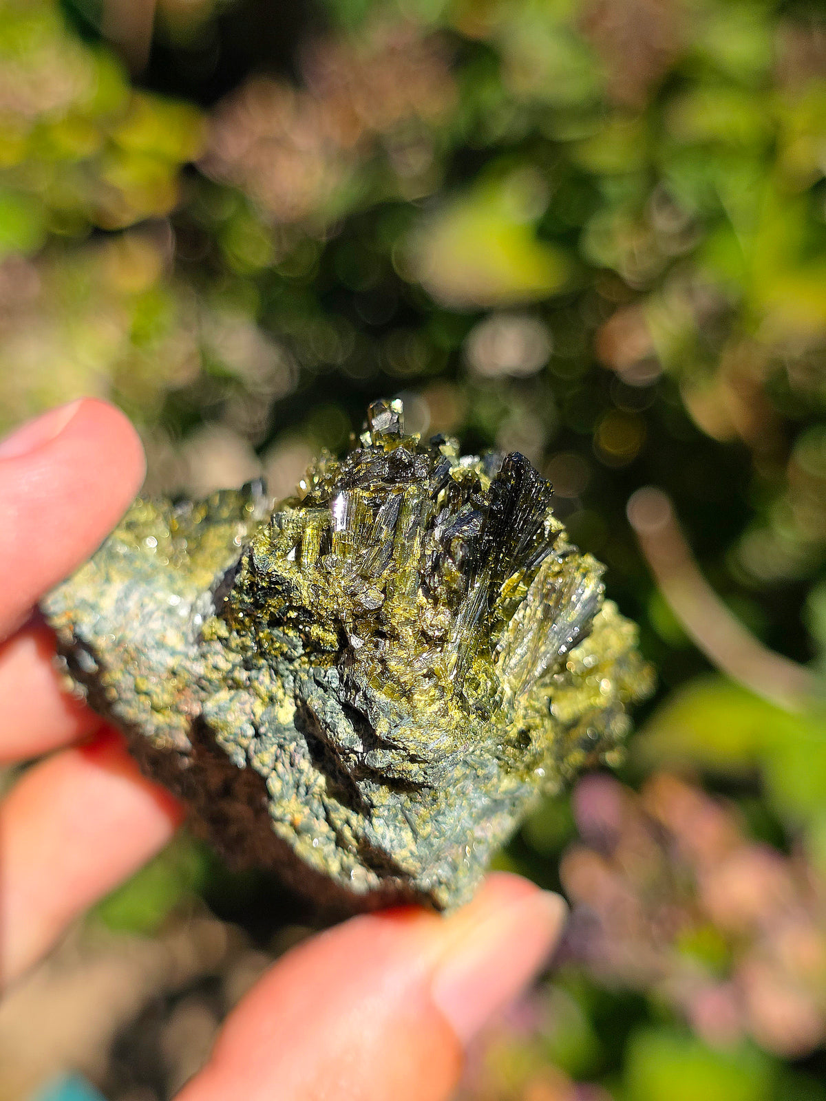 Epidote brute de Lérida en Espagne