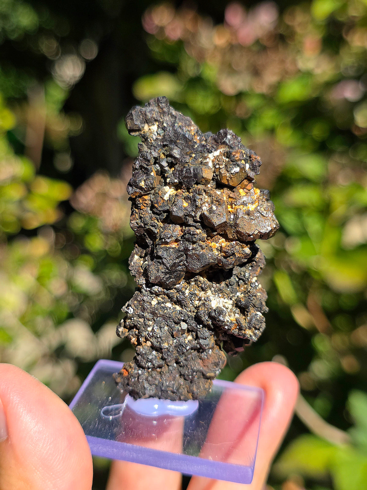 Jolie Pyrite du Pibeste sur son socle en verre.