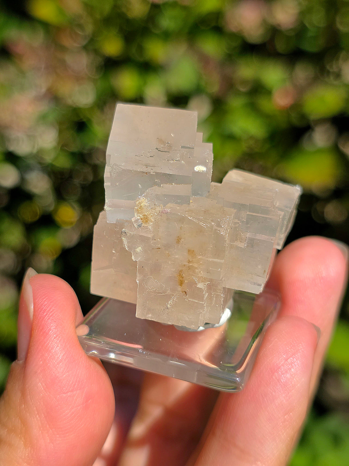 Superbe Halite espagnole réactive aux UV courts