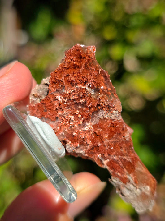 Quartz Hyacinthe sur Gypse d'Espagne