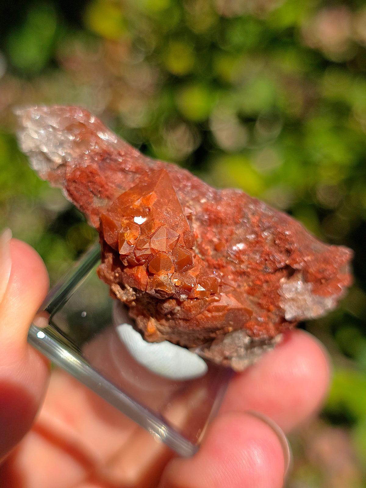 Quartz Hyacinthe sur Gypse d'Espagne