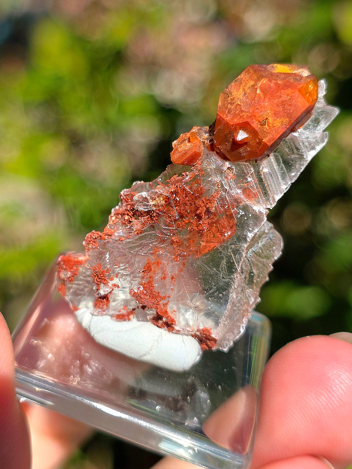 Quartz Hyacinthe sur Gypse d'Espagne