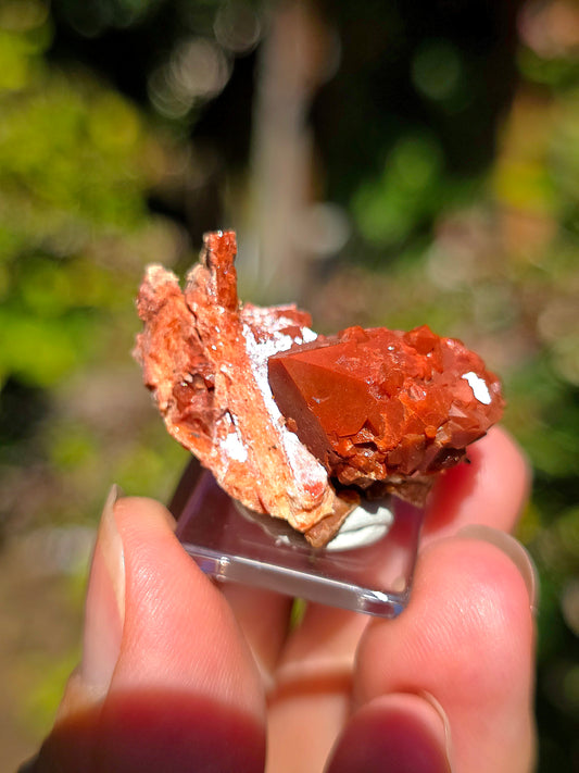 Quartz Hyacinthe sur Gypse de Valence