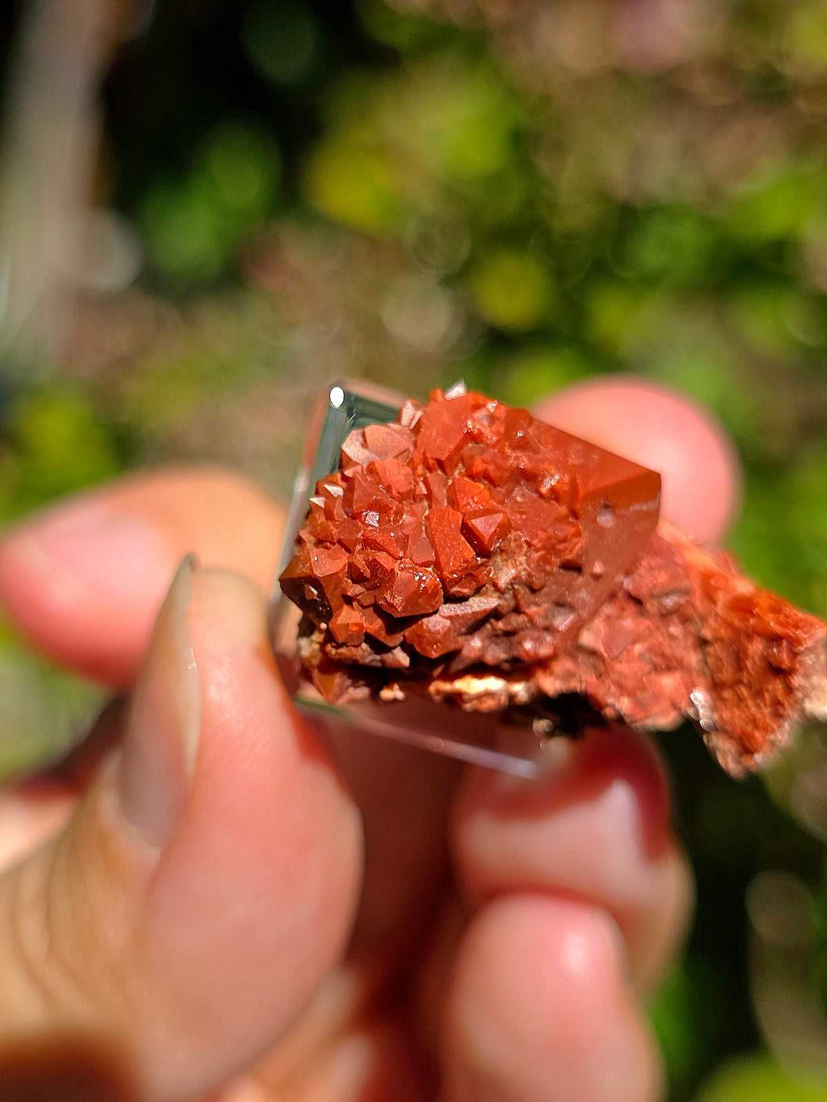 Quartz Hyacinthe sur Gypse