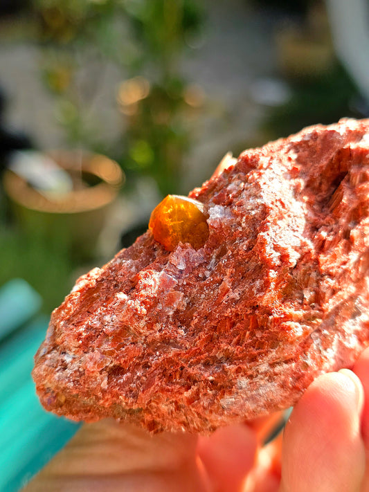Quartz Hyacinthe sur Gypse d'Espagne