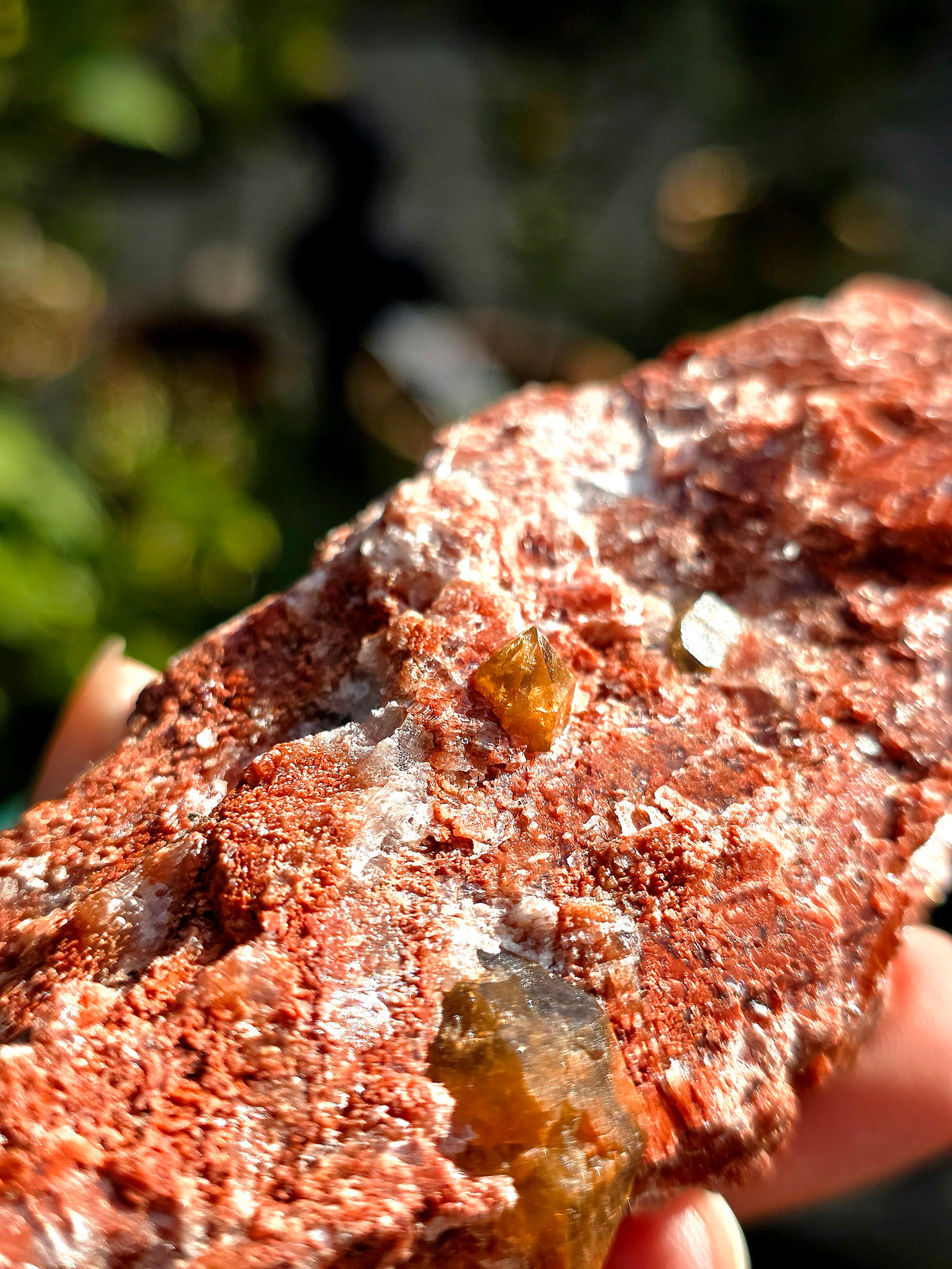 Quartz Hyacinthe sur Gypse d'Espagne