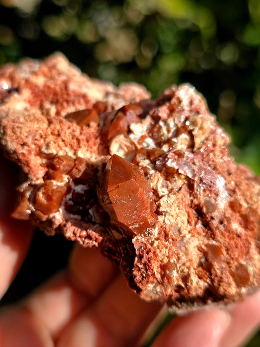 Quartz Hyacinthe sur Gypse d'Espagne