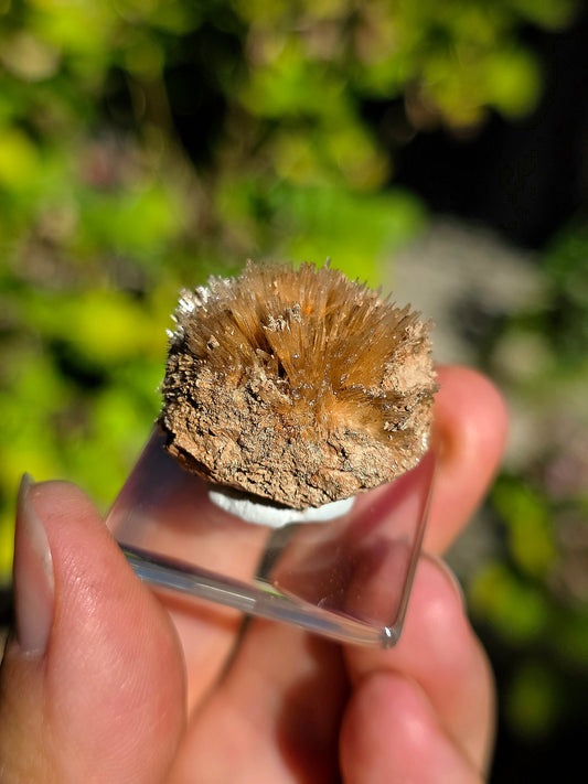 Aragonite aciculaire d'Espagne n°1
