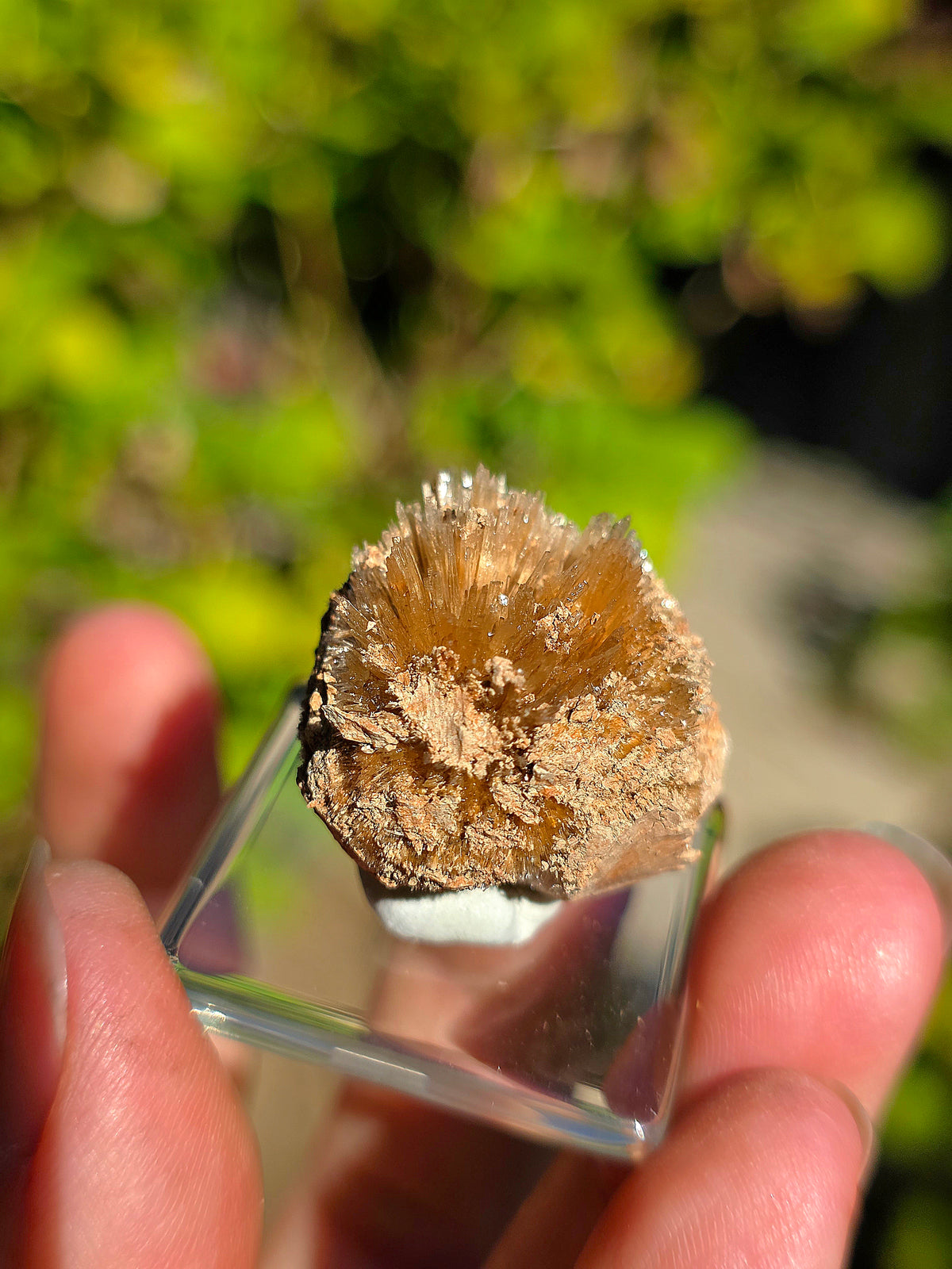 Aragonite aciculaire d'Espagne n°1