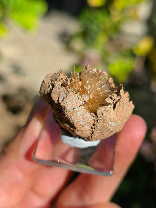 Aragonite aciculaire d'Espagne sur socle
