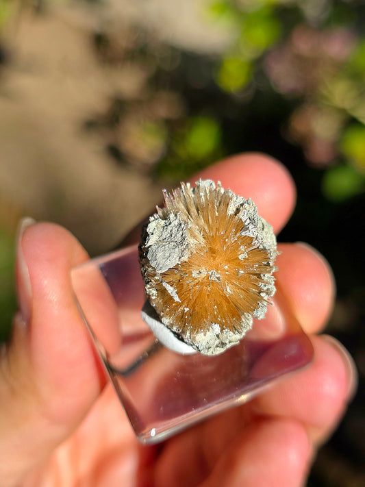 Aragonite aciculaire sur socle d'Espagne