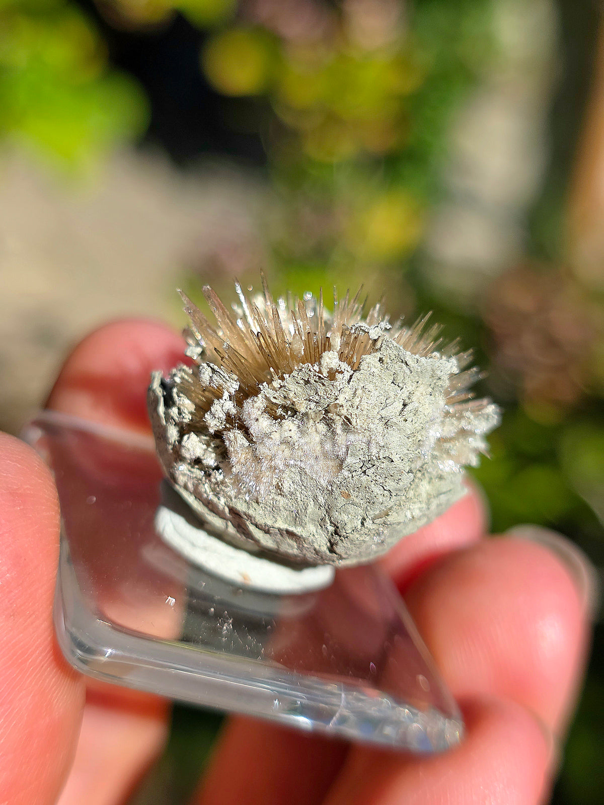 Aragonite aciculaire sur socle d'Espagne