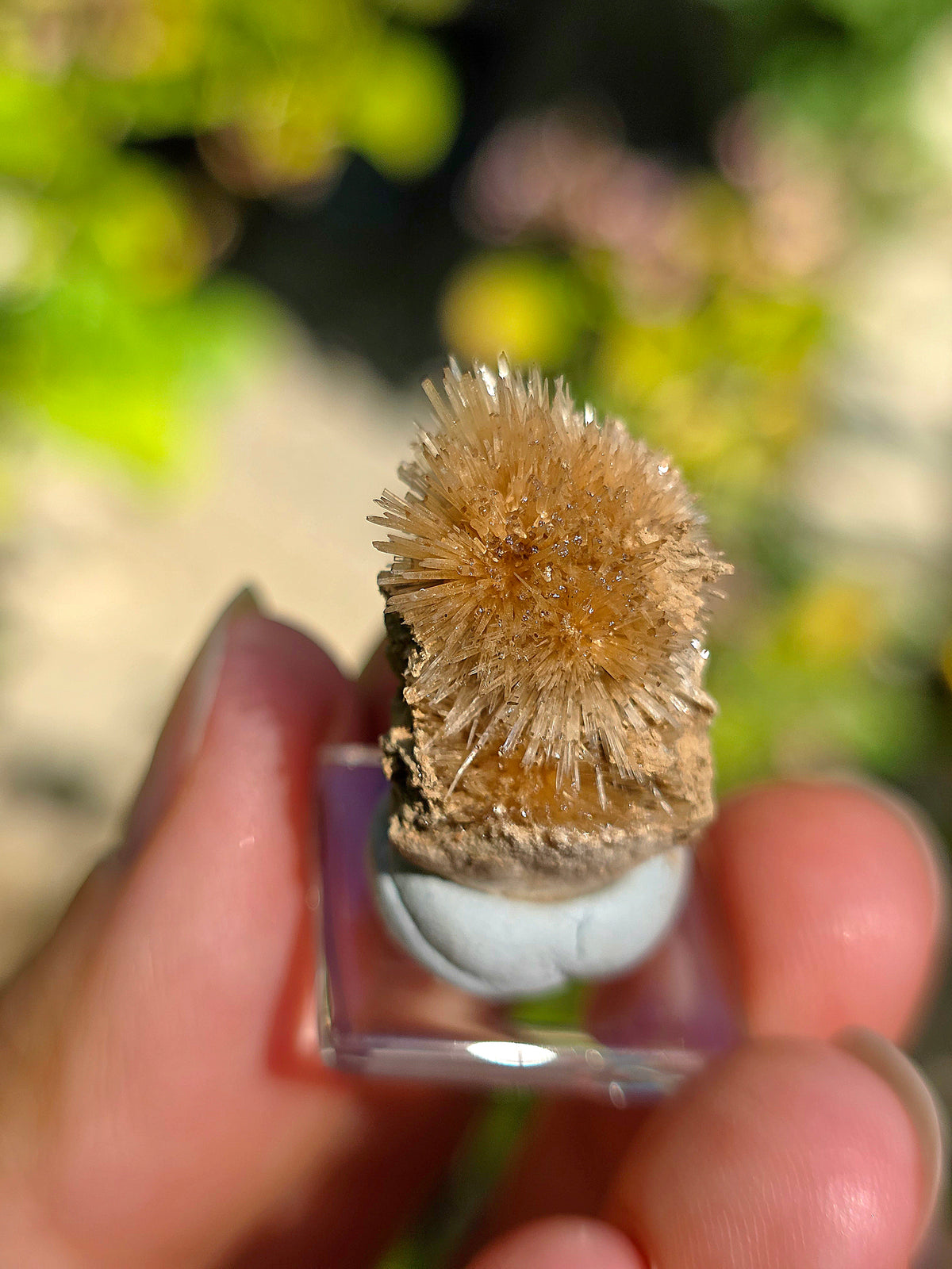 Aragonite aciculaire sur sa marne argileuse de Tolède