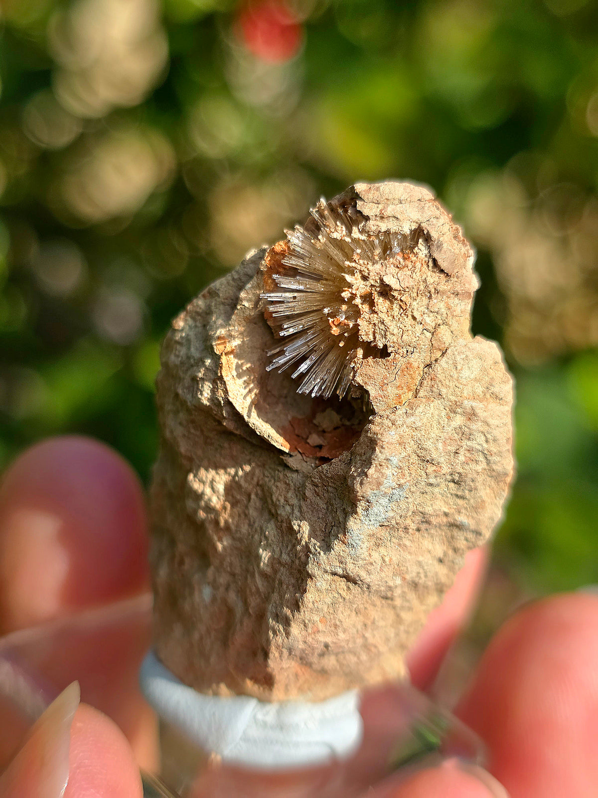 Aragonite aciculaire sur sa marne argileuse