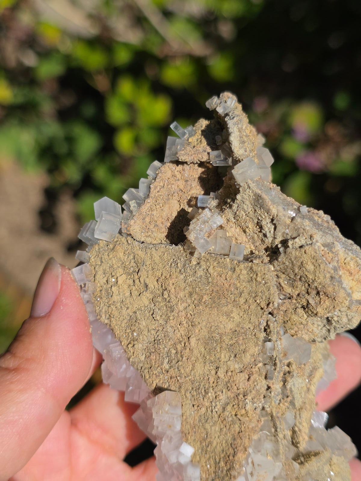 Halite espagnole réactive aux UV