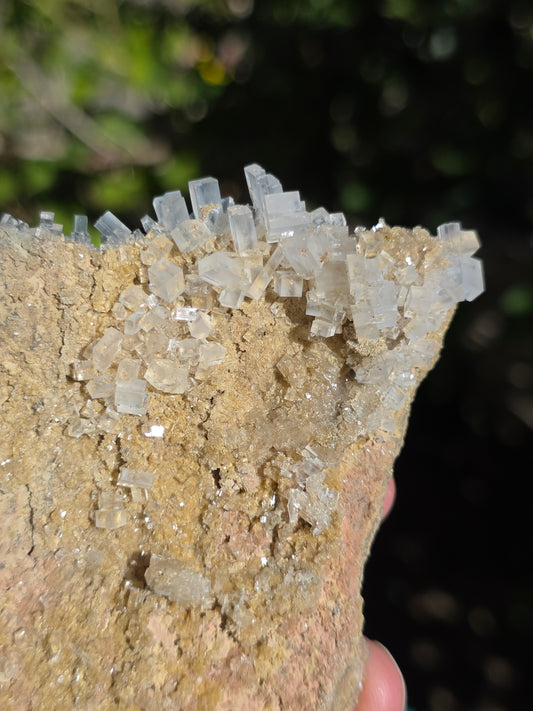 Halite espagnole réactive aux UV courts