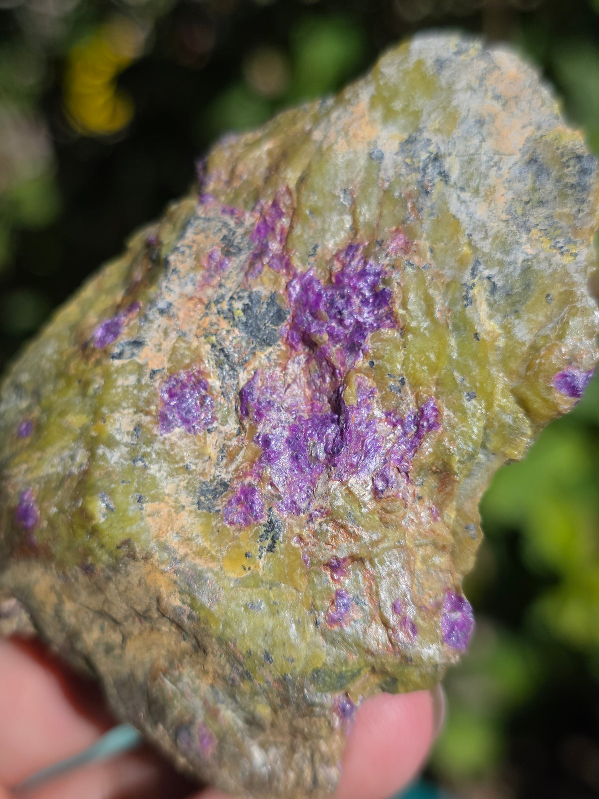 Atlantisite brute (Stichtite violette et Serpentine verte) de Tasmanie