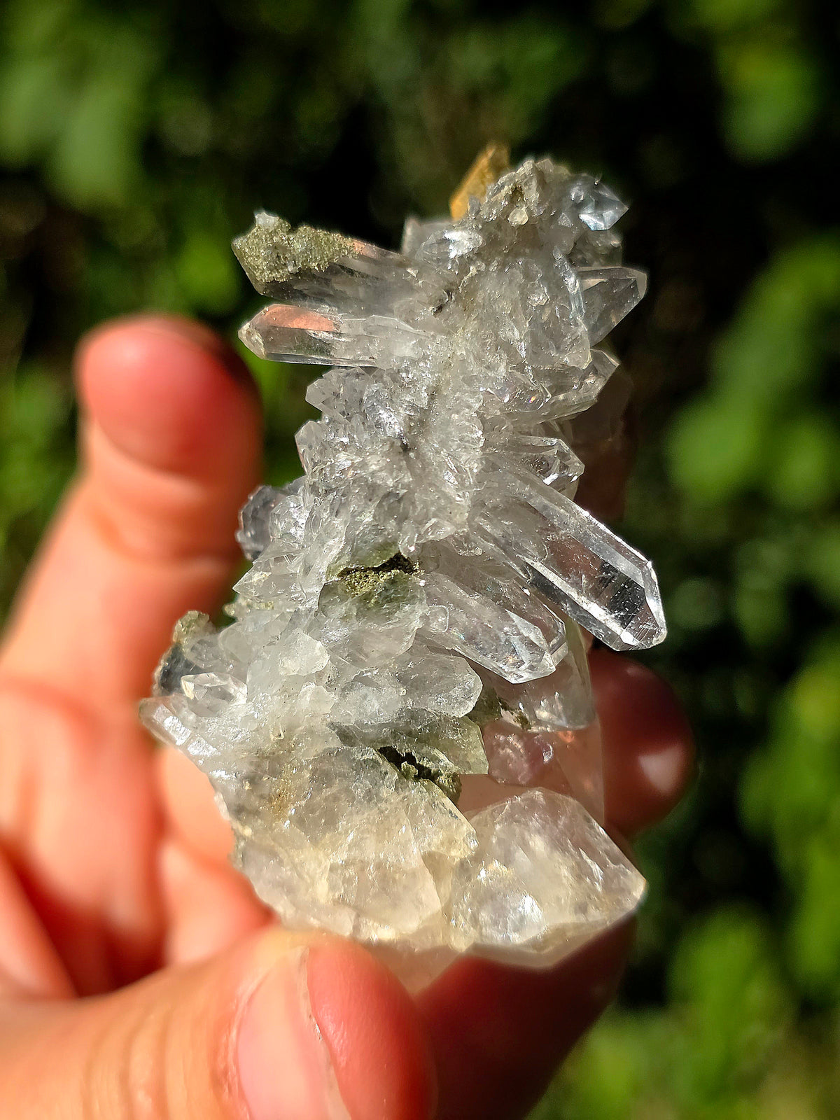 Quartz d'Arrens ,Hautes-Pyrénées avec Chlorite
