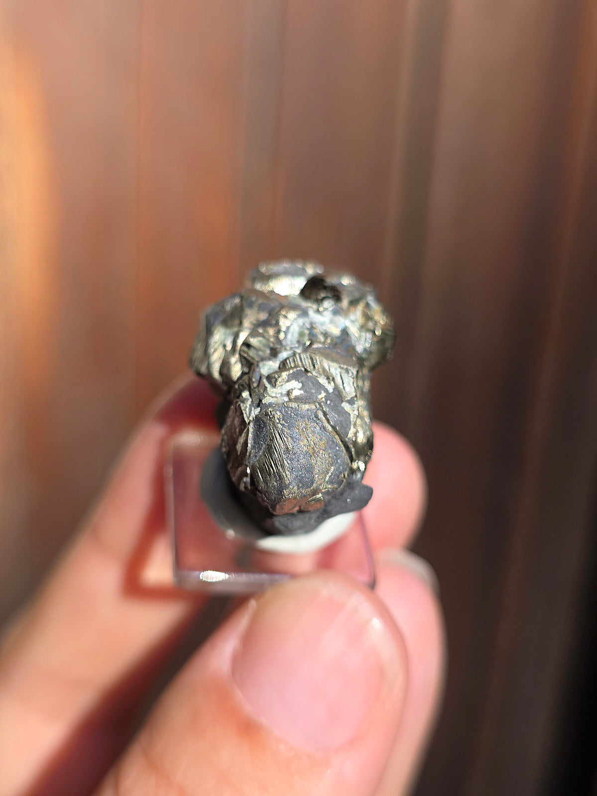Pyrite sur Schiste française de Serre-Ponçon n°10