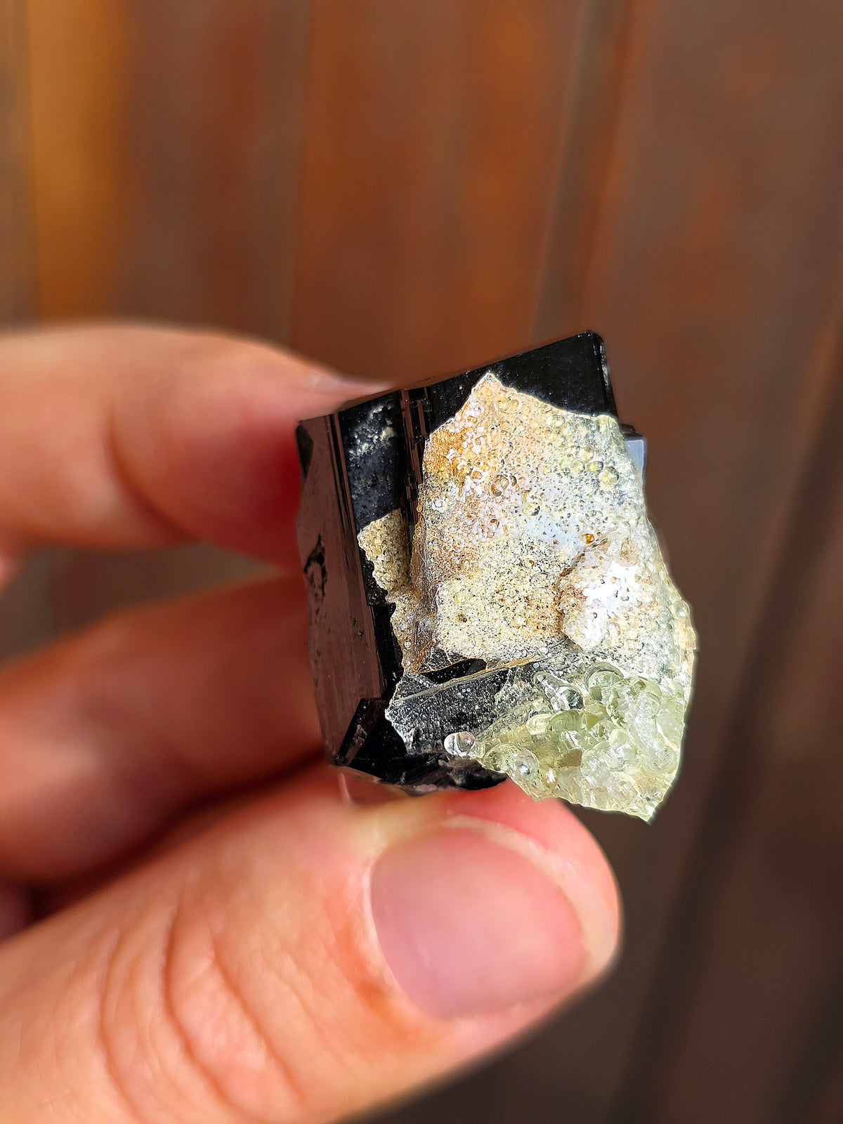 Opale Hyalite sur Tourmaline noire d'Erongo