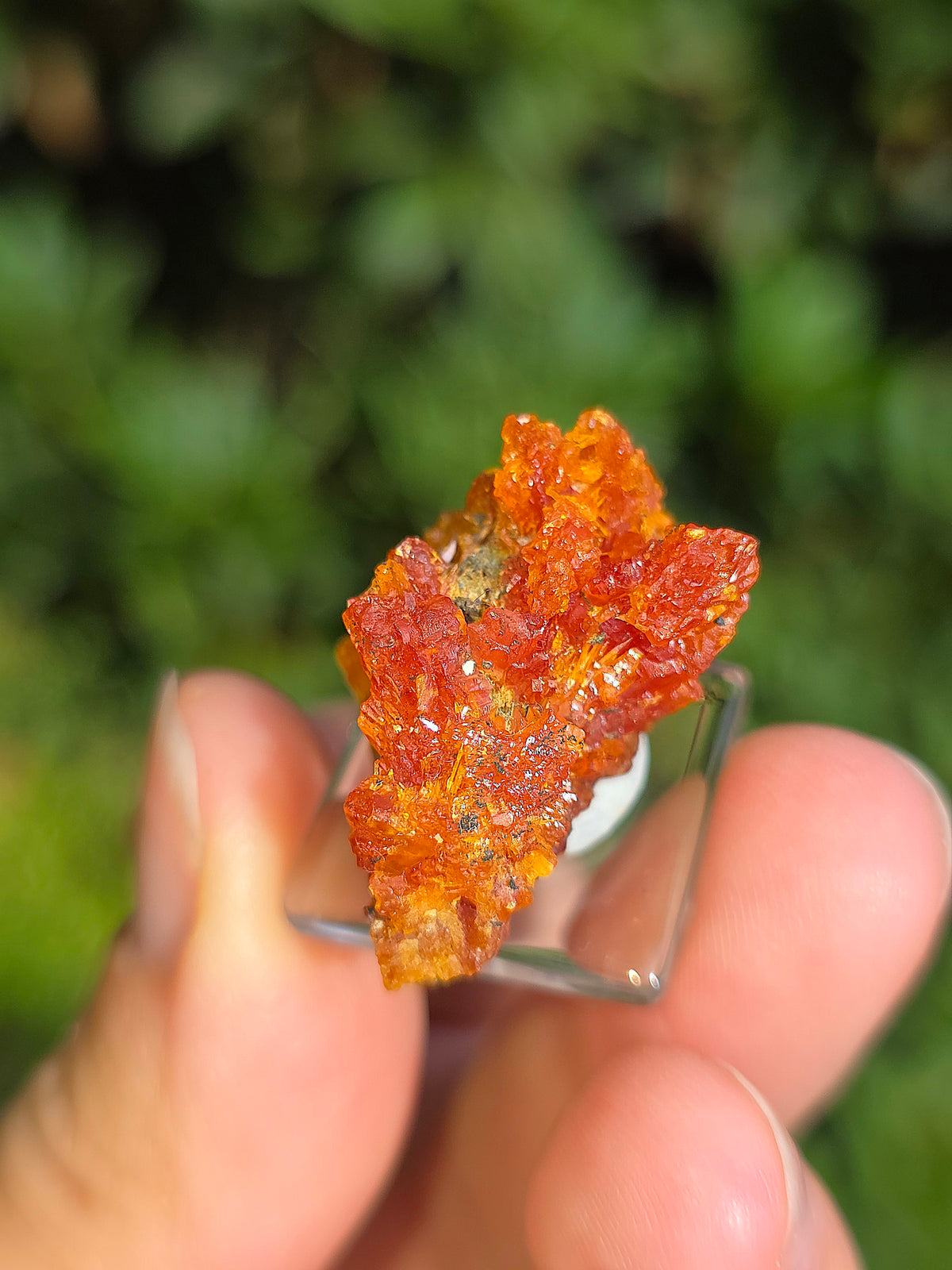 Zincite de Pologne