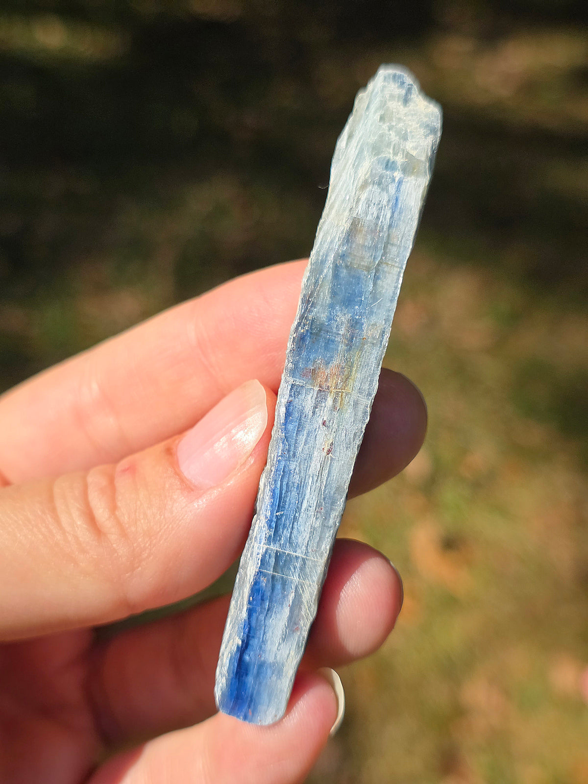 Cyanite bleue semi-polie de Zambie