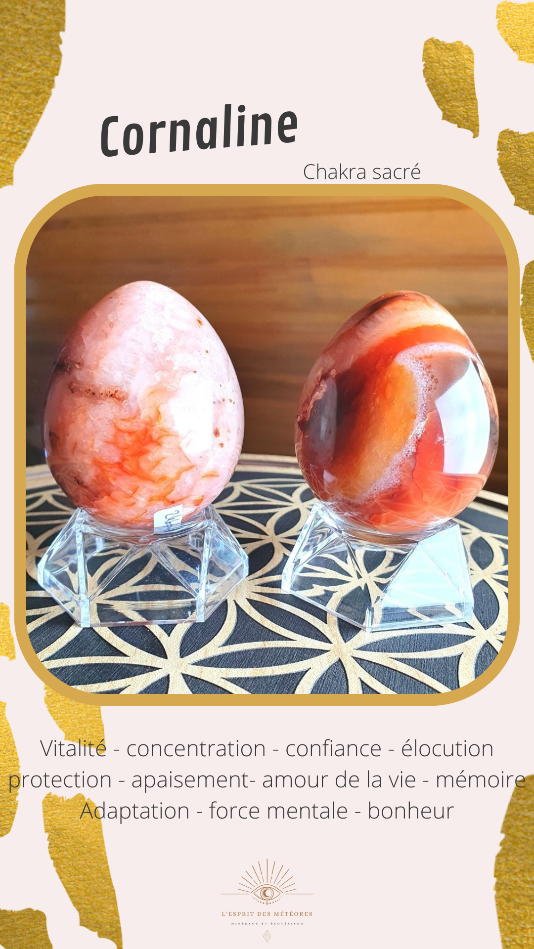 Pendentif rond en Cornaline (à choisir)