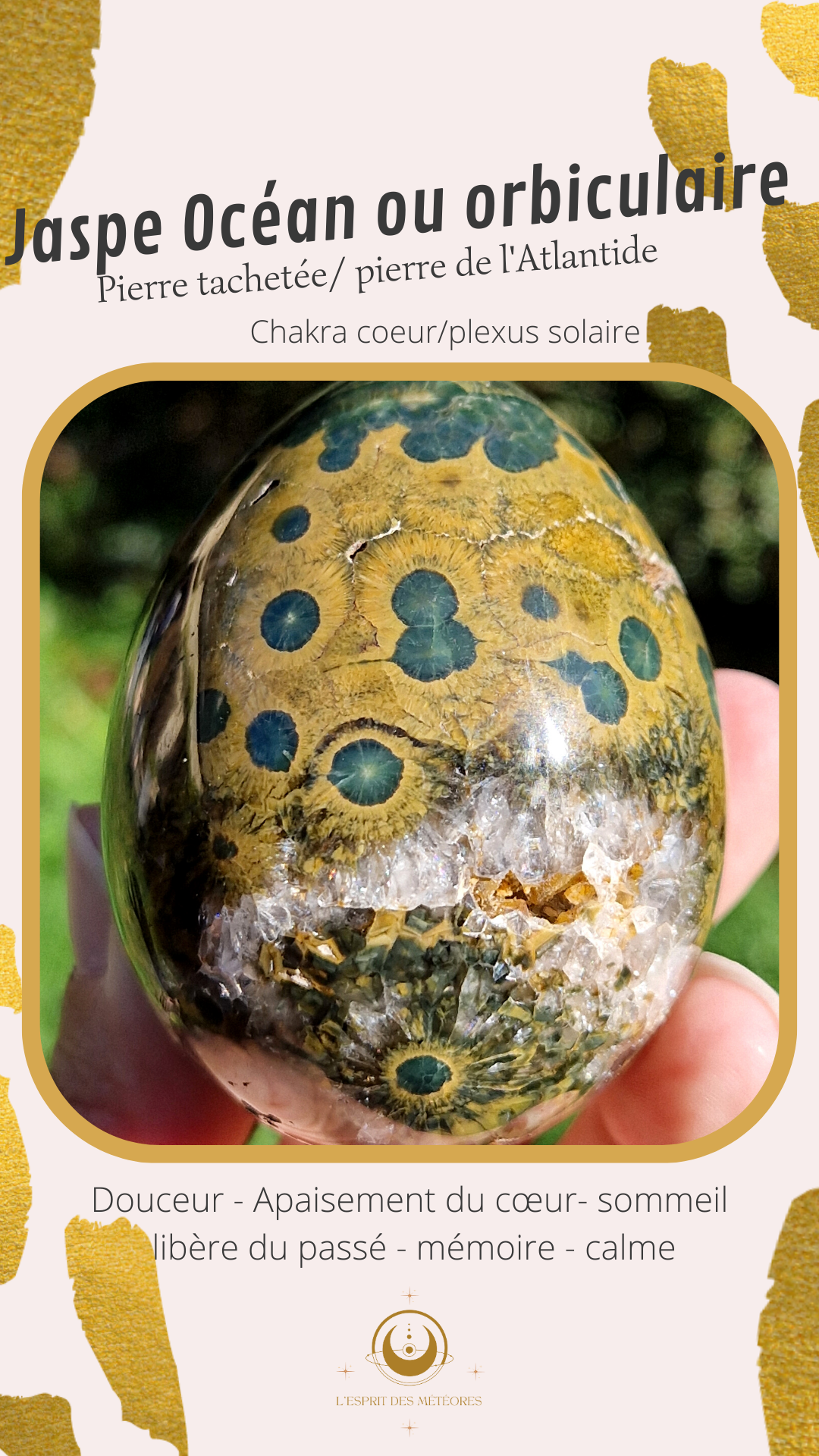 Oeuf Jaspe Orbiculaire J2