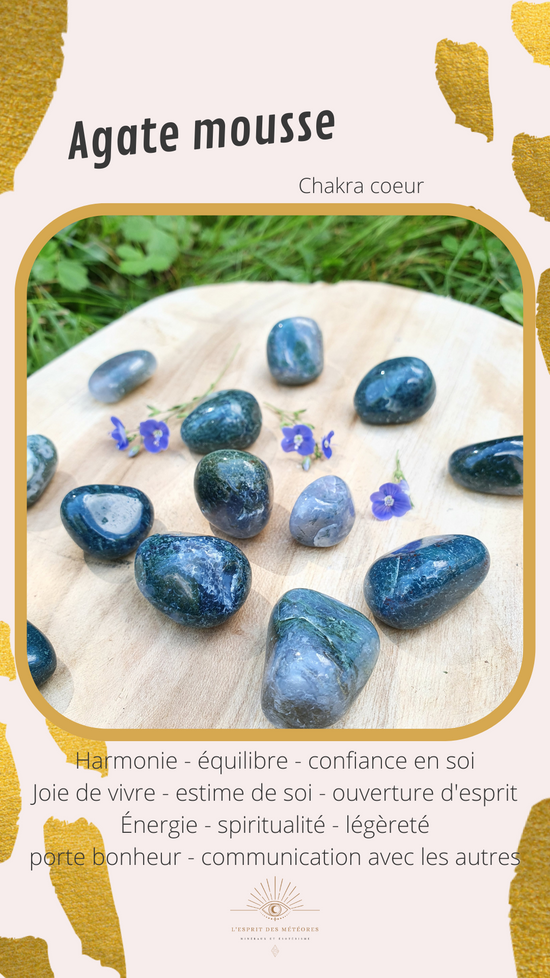 Pointe Agate mousse n°12